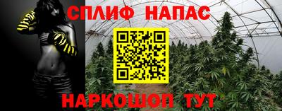 ПСИЛОЦИБИНОВЫЕ ГРИБЫ Лесосибирск