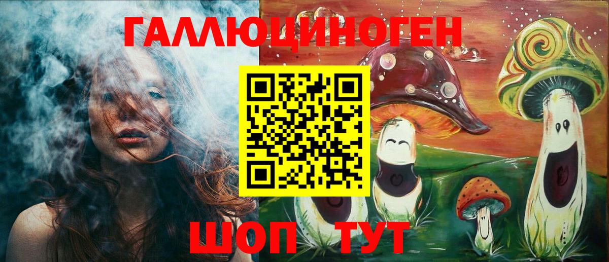 Галлюциногенные грибы Psilocybe  Галлюциногенные грибы Psilocybe  Гурьевск  где купить   Вход с VPN 