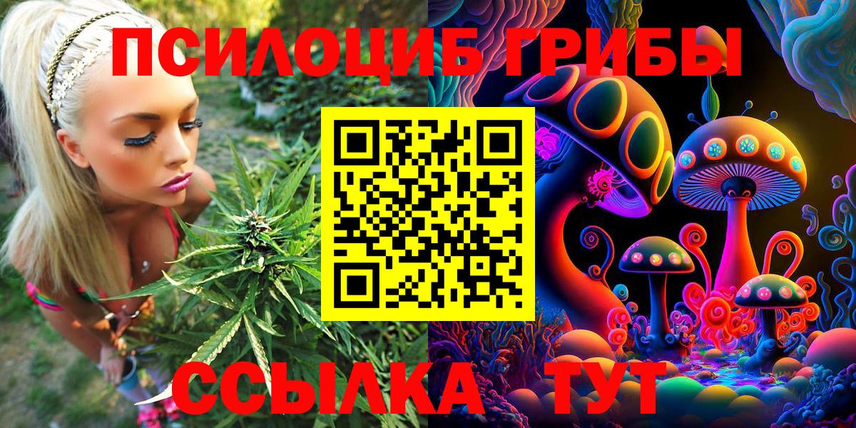 Псилоцибиновые грибы Magic Shrooms Гурьевск